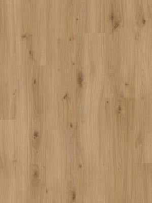 Beautifloor Laminaat West-Vlaanderen Krombeke