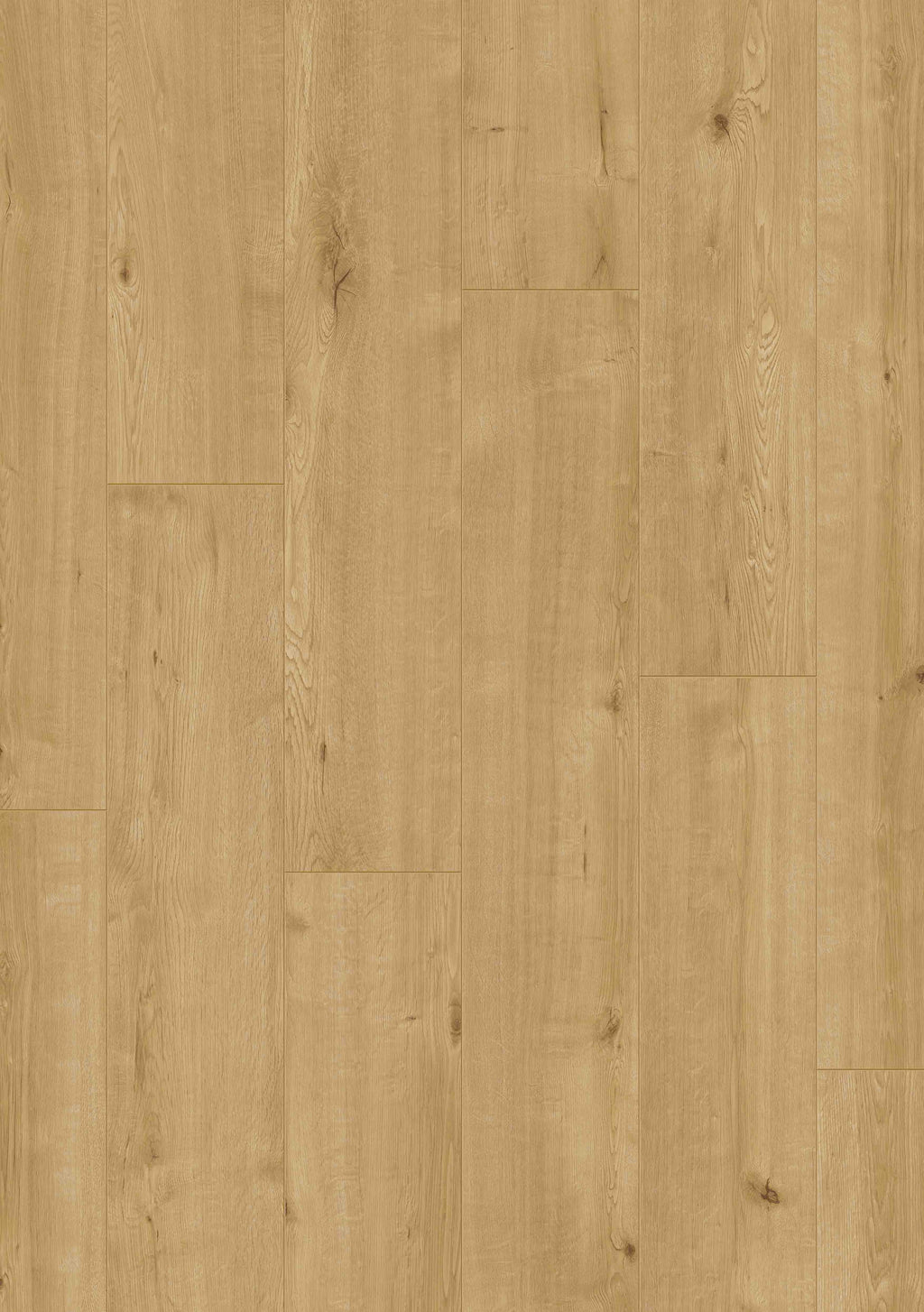 Beautifloor Laminaat Henegouwen Jurbeke